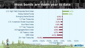 a chart showing year to date bond returns